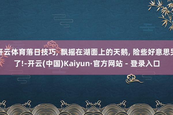 开云体育落日技巧, 飘摇在湖面上的天鹅, 险些好意思哭了!-开云(中国)Kaiyun·官方网站 - 登录入口