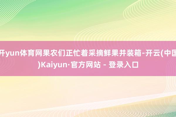 开yun体育网果农们正忙着采摘鲜果并装箱-开云(中国)Kaiyun·官方网站 - 登录入口