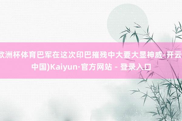 欧洲杯体育巴军在这次印巴摧残中大要大显神威-开云(中国)Kaiyun·官方网站 - 登录入口