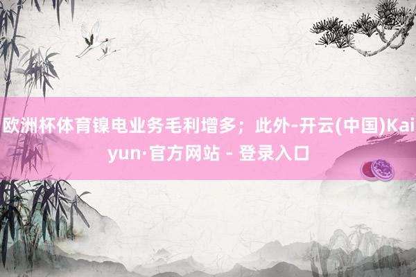 欧洲杯体育镍电业务毛利增多；此外-开云(中国)Kaiyun·官方网站 - 登录入口