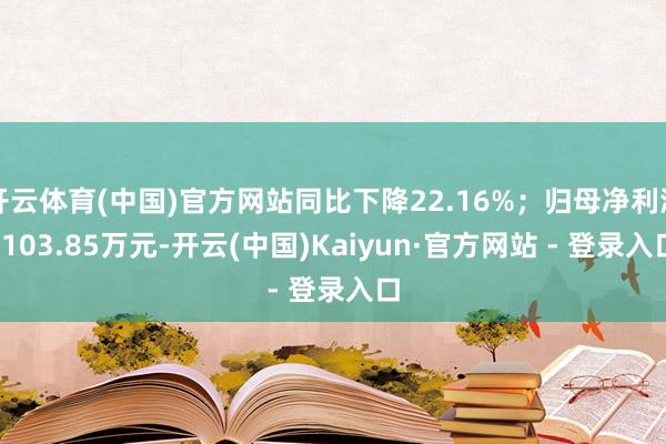 开云体育(中国)官方网站同比下降22.16%；归母净利润-103.85万元-开云(中国)Kaiyun·官方网站 - 登录入口