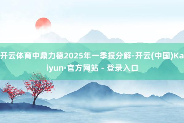 开云体育中鼎力德2025年一季报分解-开云(中国)Kaiyun·官方网站 - 登录入口