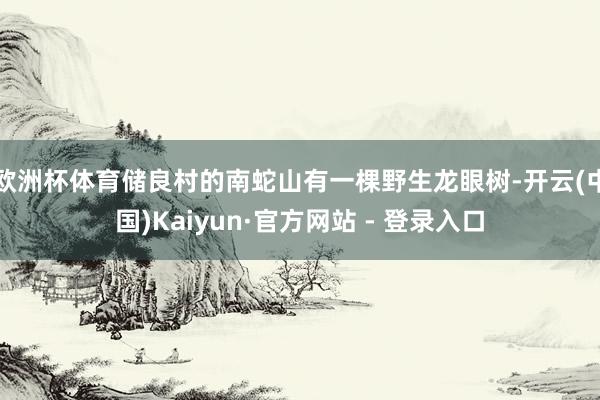 欧洲杯体育储良村的南蛇山有一棵野生龙眼树-开云(中国)Kaiyun·官方网站 - 登录入口