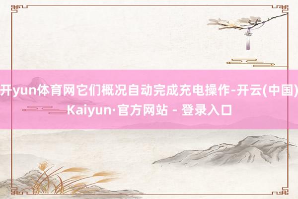 开yun体育网它们概况自动完成充电操作-开云(中国)Kaiyun·官方网站 - 登录入口