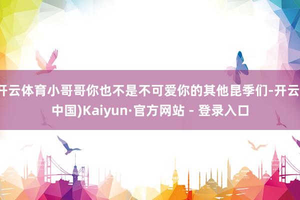 开云体育小哥哥你也不是不可爱你的其他昆季们-开云(中国)Kaiyun·官方网站 - 登录入口