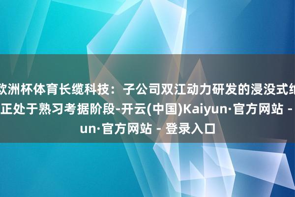 欧洲杯体育长缆科技:子公司双江动力研发的浸没式绝缘冷却液正处于熟习考据阶段-开云(中国)Kaiyun·官方网站 - 登录入口