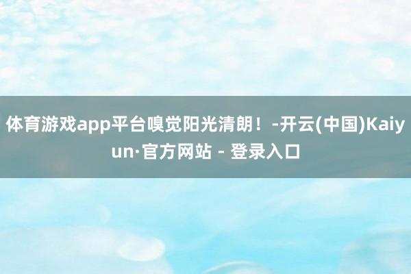 体育游戏app平台嗅觉阳光清朗！-开云(中国)Kaiyun·官方网站 - 登录入口
