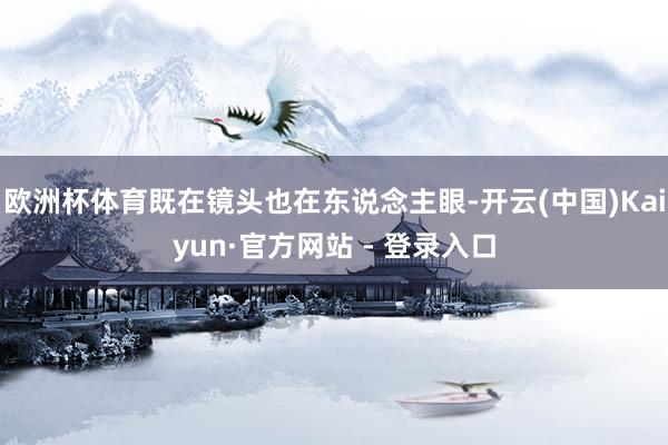 欧洲杯体育既在镜头也在东说念主眼-开云(中国)Kaiyun·官方网站 - 登录入口